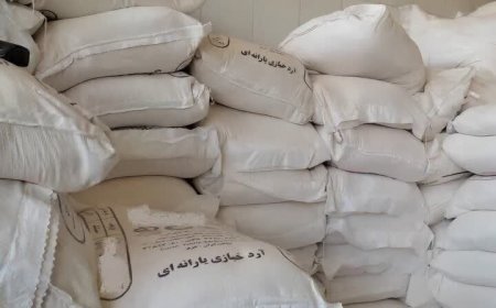 ریشه تخلفات آرد و نان باید در کل زنجیره شناسایی شود