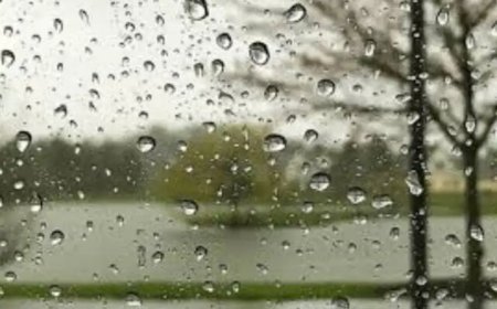 افزایش ۸۰ درصدی بارندگی فارس در سال زراعی جاری