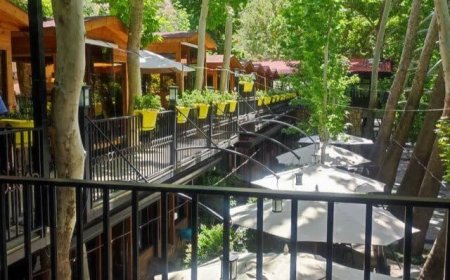قراردادهای متحدالشکل برای رستوران‌ها و تالارهای شیراز تدوین می‌شود