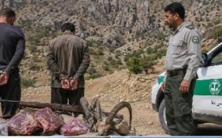 کلنگ و تفنگ در دنا؛ شکارچیان متوقف و عشایر از تخریب منصرف شدند