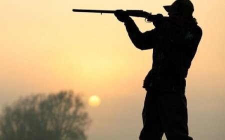 دستگیری متخلف شکار در بندرعباس با جریمه ۹۸ میلیونی