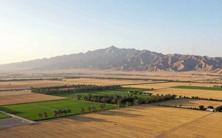 آزادسازی اراضی ملی در بوشهر؛ ۳۲ پرونده تشکیل شد