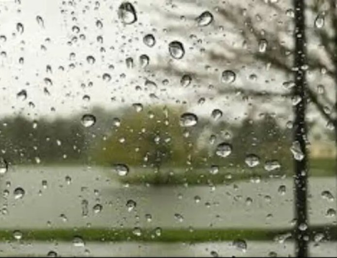 افزایش ۸۰ درصدی بارندگی فارس در سال زراعی جاری