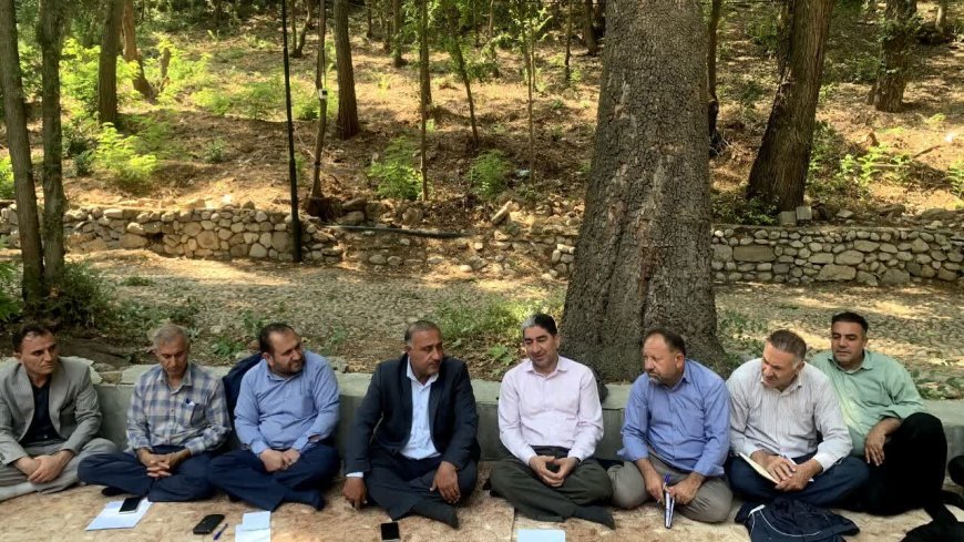 مشارکت ۱۰۷۱ نفر در طرح جنگلداری اجتماعی کهگیلویه و بویراحمد