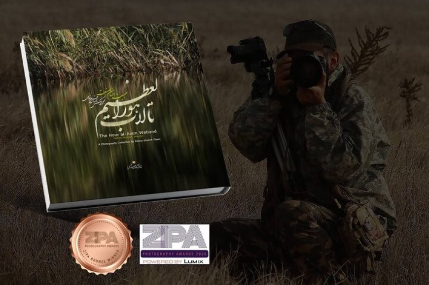 کتاب عکس هورالعظیم در جوایز بین‌المللی زیپا ۲۰۲۶ برنز گرفت