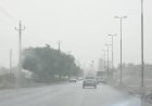 غبار و مه صبحگاهی مهمان بوشهر تا یکشنبه