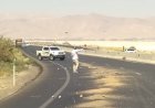 دهقان فداکار، این بار در جاده‌های فارس