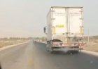 ریزش خون و آب ماهی از خودروهای حمل ساردین در محور مقام تا بندر چارک