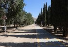 ۷.۴ کیلومتر مسیر پیاده‌روی و دوچرخه‌سواری در باغ زندگی شیراز آماده شد