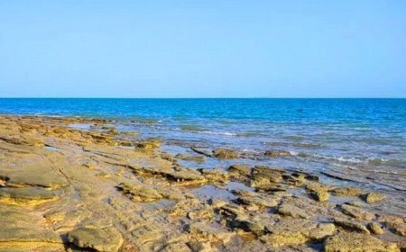 تلاطم دریا در استان بوشهر تا امشب ادامه دارد؛ آرامش نسبی از فردا