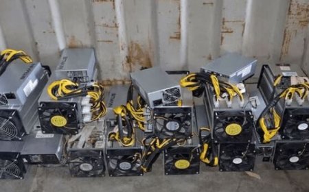 ۳۳ ماینر غیرمجاز در بوشهر جمع‌آوری شد