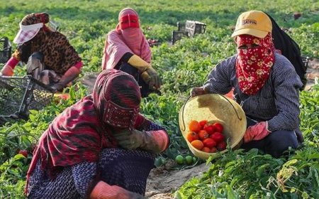 تدوین شناسنامه اقتصادی برای روستاهای هرمزگان کلید خورد