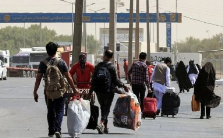 ۲۰۴ هزار برگه سرشماری اتباع در فارس باطل شد