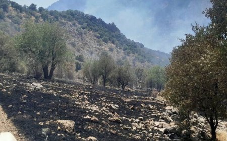 مهار آتش سوزی جنگل های ماهور میلاتی پس از هشت روز