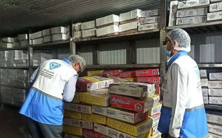 وضعیت بهداشتی پتروشیمی‌ها زیر ذره‌بین دامپزشکی عسلویه