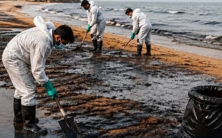 هشدار درباره آینده سواحل هرمزگان؛ آلودگی به زنجیره غذایی راه می‌یابد