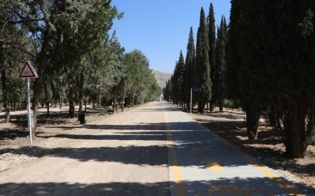 ۷.۴ کیلومتر مسیر پیاده‌روی و دوچرخه‌سواری در باغ زندگی شیراز آماده شد