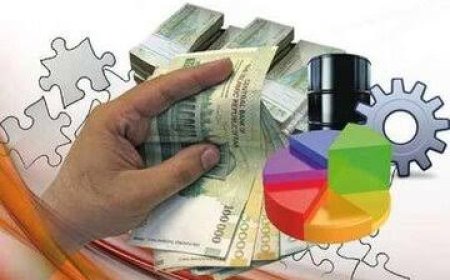 تعاونی‌های بوشهر ۵۰ میلیارد تومان اعتبار می‌گیرند