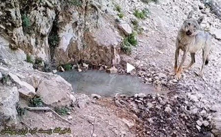 «پسر تالاب»؛ روایتی از پیوند انسان، طبیعت و بحران آب در فارس