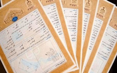 قفل اراضی دولتی در ۱۶ شهر بوشهر باز شد