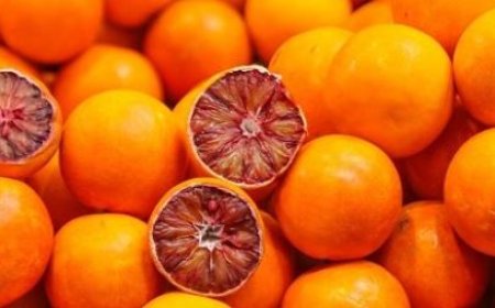 تولید سالانه ۹۴۰ هزار تن محصولات باغی در هرمزگان