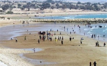 کنگان جوان‌ترین شهرستان بوشهر شناخته شد