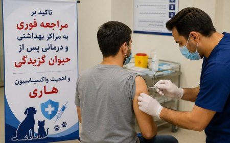 ۱۲ هزار دوز واکسن هاری در هرمزگان تزریق شد