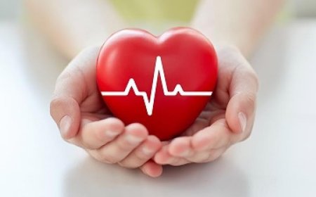 چگونه مواظب قلبمان باشیم؟