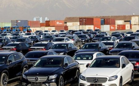 صدور مجوز واردات خودرو به منطقه آزاد بوشهر به رونق کسب‌ و کارها کمک می‌کند