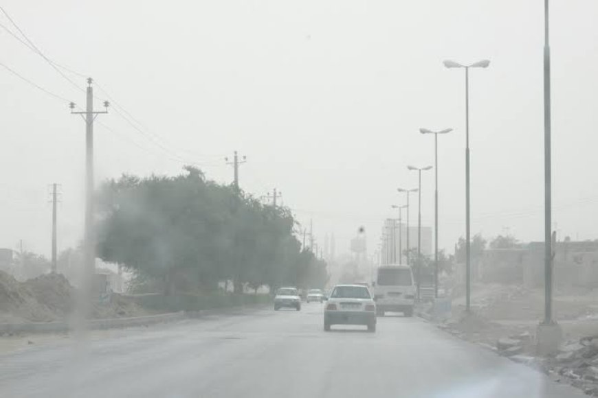 غبار و مه صبحگاهی مهمان بوشهر تا یکشنبه