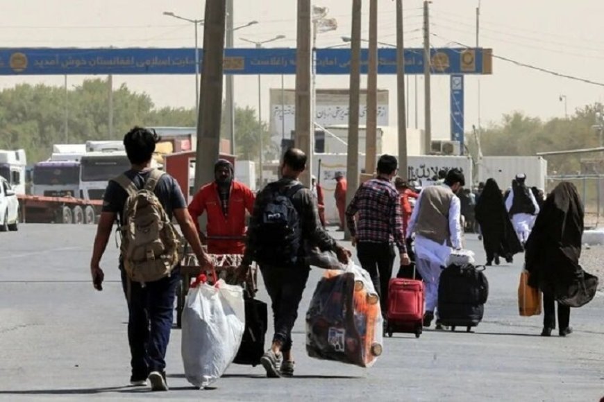 ۲۰۴ هزار برگه سرشماری اتباع در فارس باطل شد