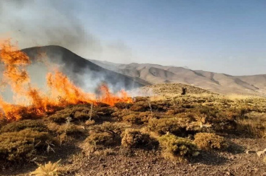 ۱۱ عامل آتش‌سوزی جنگل‌ها و مراتع کهگیلویه و بویراحمد شناسایی شدند