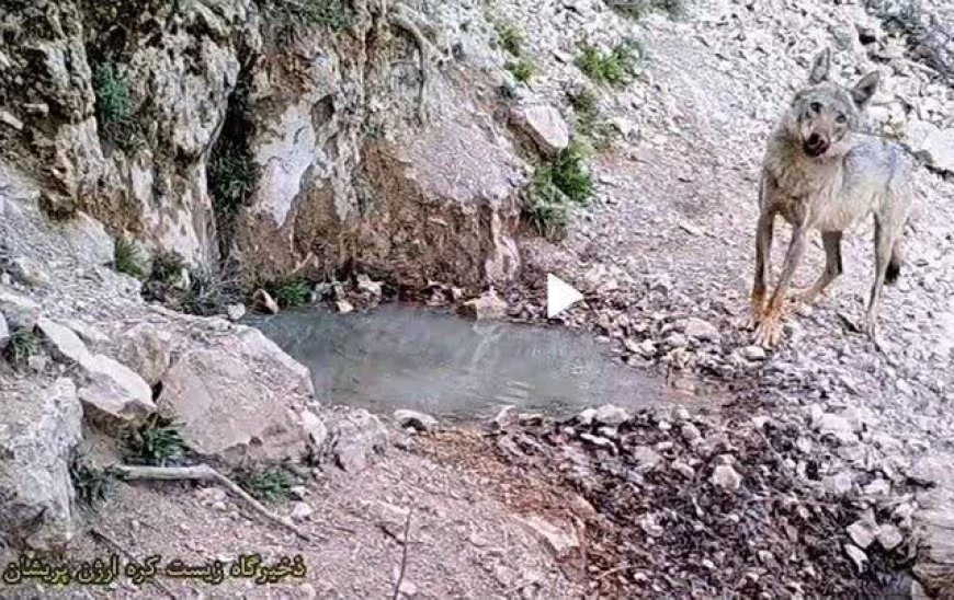 «پسر تالاب»؛ روایتی از پیوند انسان، طبیعت و بحران آب در فارس