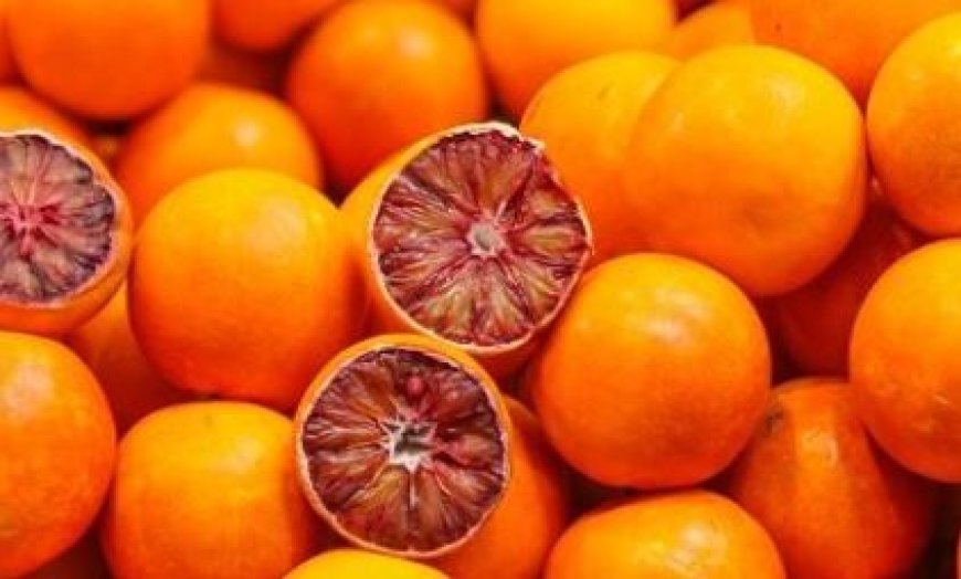 تولید سالانه ۹۴۰ هزار تن محصولات باغی در هرمزگان