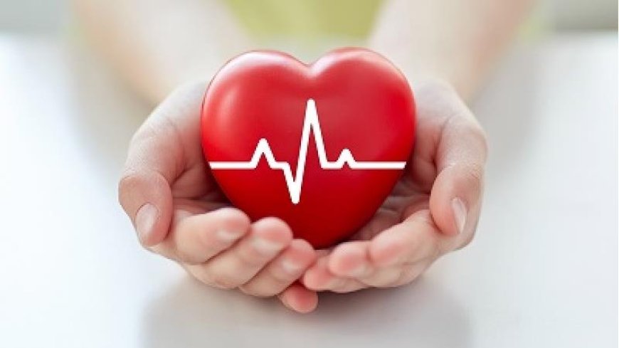 چگونه مواظب قلبمان باشیم؟
