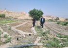 کشت محصولات کشاورزی با فاضلاب در دره «کُمبُل» گچساران متوقف شد