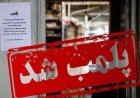 پلمب ۱۲ قصابی غیرمجاز در باغملک به دستور قضایی