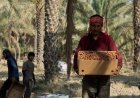 «شادگان» از پایتخت خرما تا قطب گردشگری؛ نقشه راه احیای تالاب