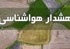 هشدار زرد هواشناسی کشاورزی در فارس؛ خطر سرمازدگی محصولات در راه است