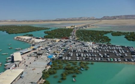 «سهیلی» الگویی برای جلوگیری از خالی‌ شدن روستاها