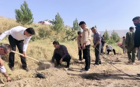 کاشت ۳۵۰۰ اصله نهال در کهگیلویه و بویراحمد آغاز شد