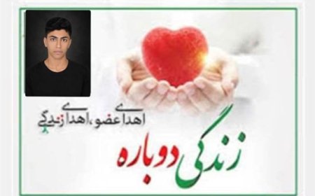 اهدای عضو نوجوان ۱۵ ساله، یازدهمین اهدا در هرمزگان
