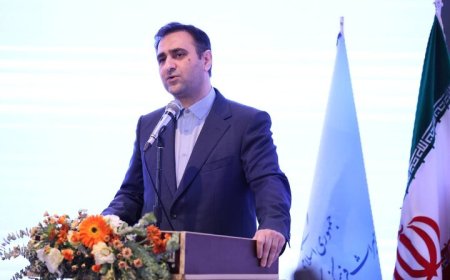 ساختار مستقل سرمایه‌گذاری در هر ۳۱ استان ایجاد شد