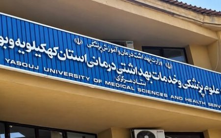 ۶ استاد دانشگاه علوم پزشکی یاسوج در میان ۲ درصد دانشمندان برتر جهان قرار گرفتند