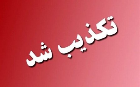 شایعه اجرای حکم شلاق برای کارکنان پتروپارس در هویزه تکذیب شد