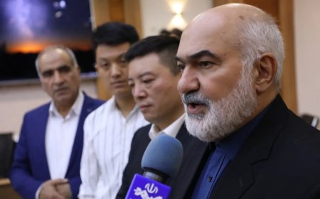 صنعت خودرو و انرژی خورشیدی؛ محورهای همکاری خوزستان با چین