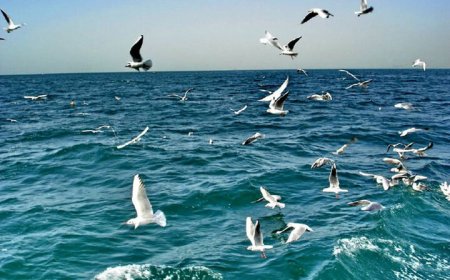 ناپایداری‌های جوی و دریایی در هرمزگان
