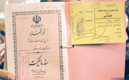 ۱۹۵ هزار سند مالکیت در استان بوشهر صادر شد