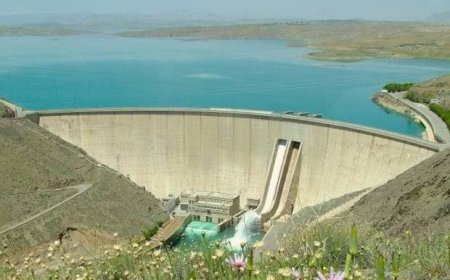 ۷۰ درصد ظرفیت سدهای بوشهر خالی است؛ شناسایی ۳۷۴ سازه حادثه‌خیز سیلابی