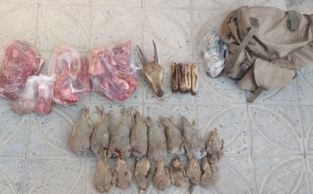 کشف لاشه یک راس بز وحشی و ۱۵ قطعه پرنده شکار شده در خامین
